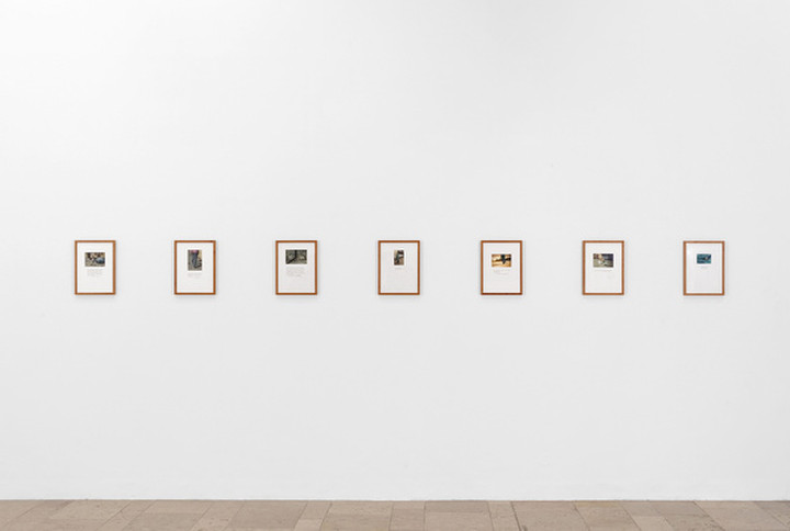 © Francis Alÿs