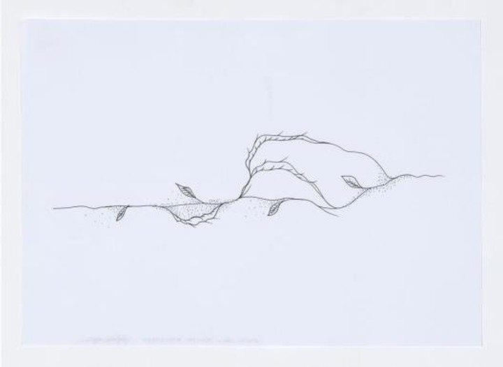 Courtesy Galerie 31 Project