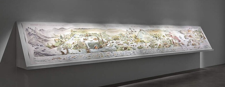 ©️ Nicolas Brasseur