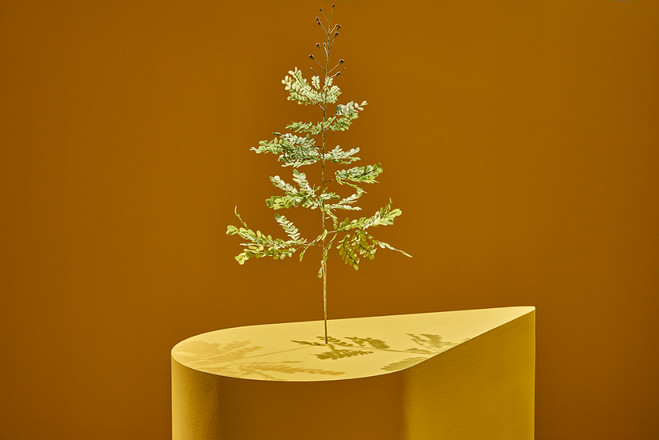 Photo Jean-Christophe Lett - © MAMAC, Nice © Minia Biabiany - ADAGP, Paris, 2023