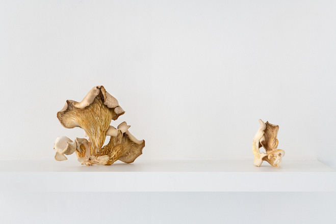 Photo : Vincent Blesbois / Le Creux de l'Enfer